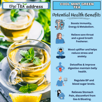 Cool Mint Green Tea - Image 6