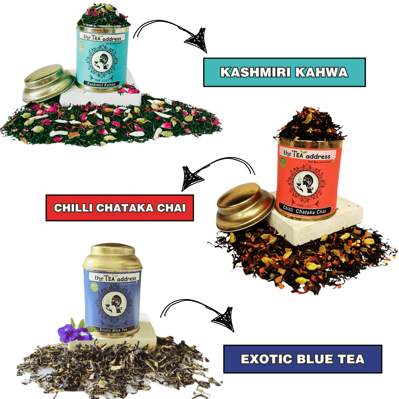 THE FECSTASY COLLECTION THIRD IMAGE (1)