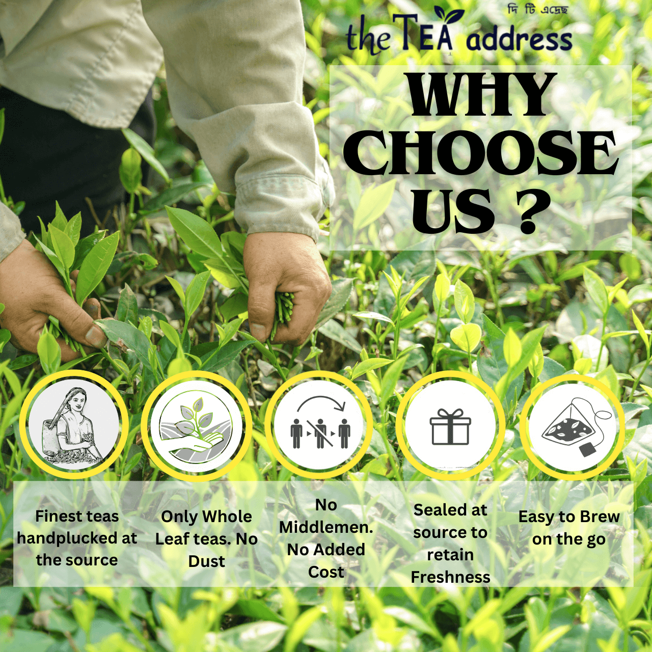 WHY CHOOSE US (1)