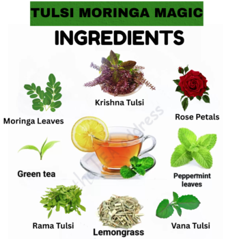 Tulsi Moringa Magic - Image 3