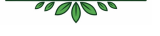 leaves border